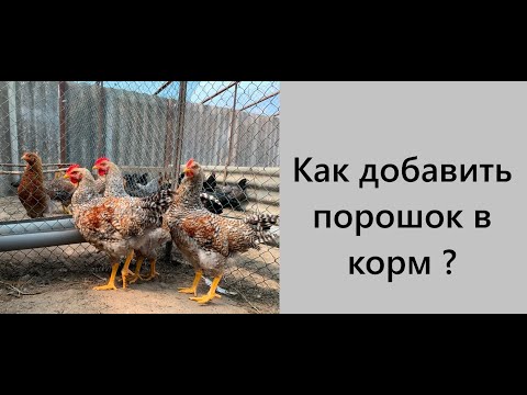 Видео: Лайфхак. Эффективно, экономно. Глистогоним птицу. Как добавить препараты в корм? Для начинающих.