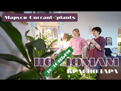 Видео: Дом, в котором... Маруся Currant🌱plants