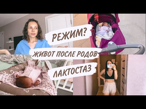 Видео: ЖИВОТ ПОСЛЕ РОДОВ🤭ЛАКТОСТАЗ😭ПЕРВЫЕ СЛОЖНОСТИ | ВЛОГ