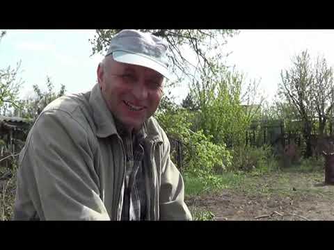 Видео: Измельчитель садовый электрический "Зубр" ЗИЭ-40-2500