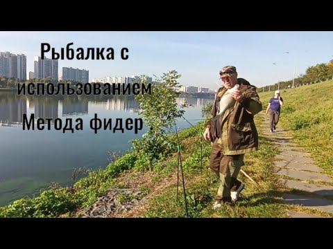 Видео: Рыбалка с использованием Метод Фидер. #рыбалка #рыбалканафидер #методфидер