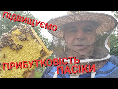 Видео: Та відмова від нуклеусів. #бджолипчеловодствов6тирамочныхульях