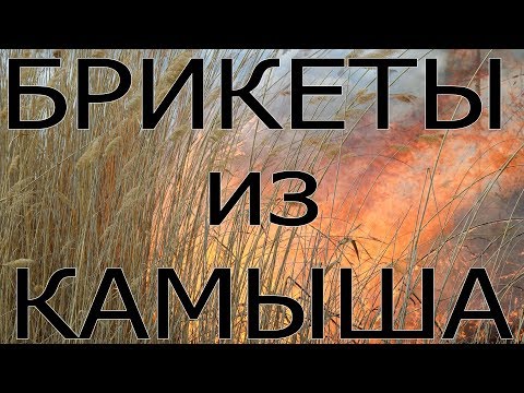 Видео: Брикет из камыша. Сравниваем брикеты из камыша и брикеты из дерева. Тест брикета из камыша.