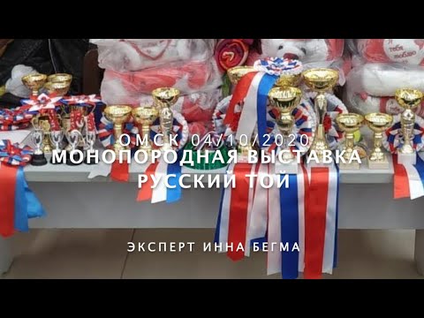 Видео: Русский Той Монопородная Выставка 04/10/2020