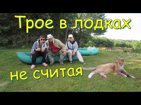 Видео: Сплав по р.Неман с котом. Оставили кота в лесу одного. 