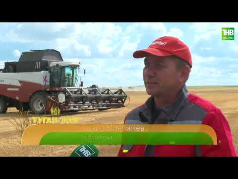 Видео: Туган җир | 09/08/24