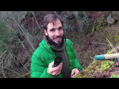 Видео: Малоизвестная геология Карельского перешейка