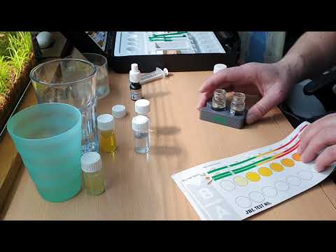 Видео: Аквариум чёрная борода