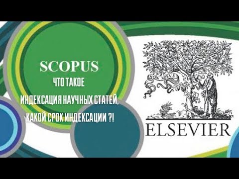 Видео: Что такое индексация научных статей, какой срок индексации в базах данных Scopus и WOS