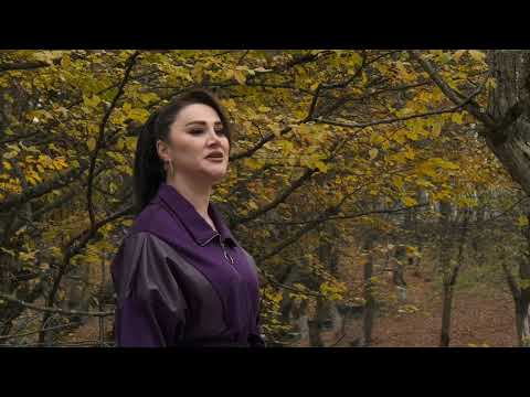 Видео: Джамиля Залова  - Зун дуьньяда тахьайла