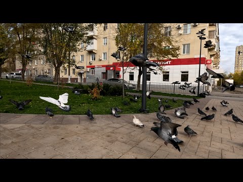 Видео: City walking #153. Volgograd. Krasnooktyabrsky dist. Parks. (Парки Краснооктябрьского р-на)