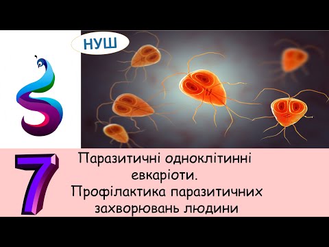 Видео: Паразитичні одноклітинні евкаріоти. Профілактика паразитичних захворювань людини.