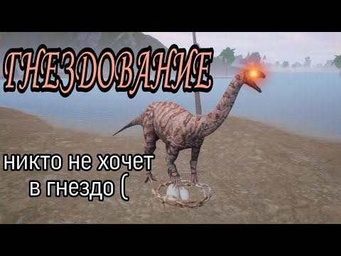 Видео: Гнездование платео: Платео vs Спино
