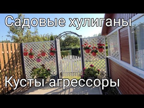 Видео: Дачный влог/Продолжаем строить новый забор из старых досок.