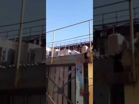 Видео: 27 февраля 2020 г. андижанские голуби Бозорова Отабека Санкт-Петербург