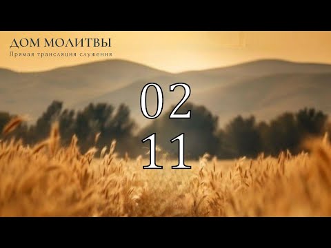 Видео: 2.11.2025 - Прямая трансляция ст.Елизаветинская