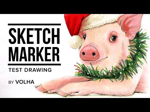 Видео: Sketchmarker test drawing #5 / Рисую маркерами Sketchmarker поросёнка + КОНКУРС 🌟🐷🎄