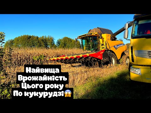 Видео: я ШОКОВАНИЙ,120ц з гектара😱Плуг не оре таку масу🥲жнивуєм,орем,і дискуєм🤫