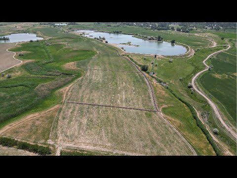 Видео: Алма бактын сугаруу системасы. Аянты Га