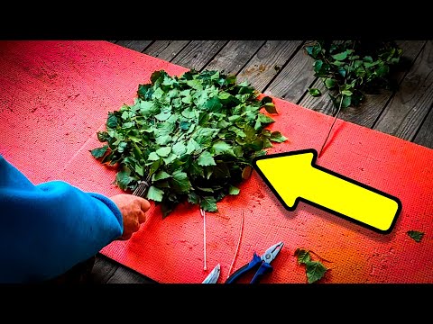 Видео: Как сделать берёзовый ВЕНИК для БАНИ. Раскрываю все секреты