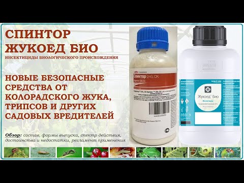 Видео: Спинтор и Жукоед Био - биологические средства от колорадского жука, трипсов и других вредителей