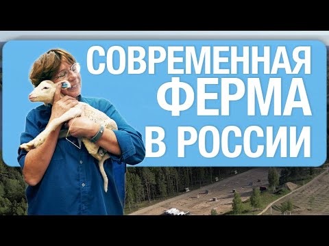 Видео: Кто живёт на ферме? Экскурсия от главного зоотехника | Гастродача Вселуг