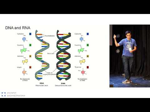 Видео: Знакомство с технологиями NGS | Барбитов Юрий, Институт биоинформатики