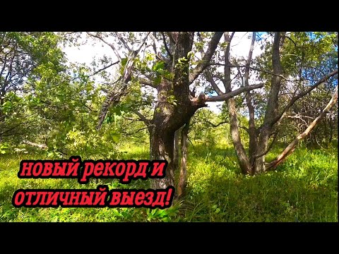 Видео: ЭТО НЕВЕРОЯТНО! ПОСТАВИЛ НОВЫЙ РЕКОРД ПО ЛЕМЕХАМ И ВЗЯЛ ОТЛИЧНЫЙ ВЕС! КОП МЕТАЛЛА ЛЕТО 2023