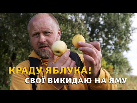 Видео: Як вже набридло ця природа та шашлики! Йду на діло за село.