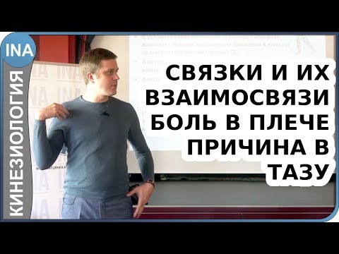 Видео: Связки и их взаимосвязи. Боль в плече. Причина в тазу. Кинезиология