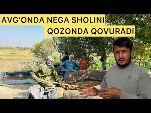 Видео: АФҒОНДА НЕГА ШОЛИНИ ҚОЗОНДА ҚОВУРИЯПТИ