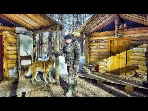 Видео: В ТАЙГЕ БАРДАК. РАБОТА И ОТДЫХ НА ЛЕСНОЙ ИЗБЕ. Экипировка для охоты KING HUNTER.