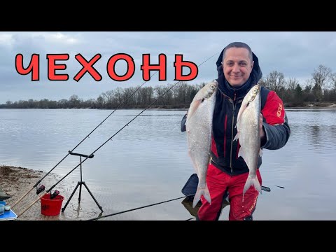 Видео: Рибалка на фідер. Десна порадувала трофеями.