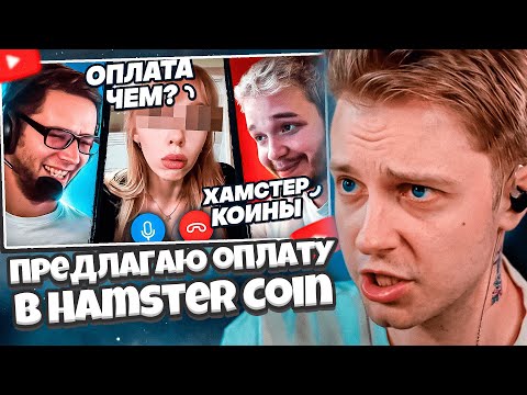 Видео: СТИНТ СМОТРИТ: Предлагаю ОНЛИФАНЩИЦАМ оплату в Hamster Coin + переезд в СОМАЛИ / Azazin Kreet