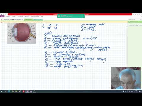 Видео: 8 сынып  №78 сабақ  Көз