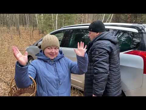 Видео: Я в ШОКЕ-сколько нам сегодня показали! Без приключений не обошлось! Мы долго искали и всё таки НАШЛИ