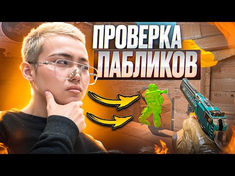 Видео: 🌈 УГАРНЫЙ АДМИН XD // ПРОВЕРКА ПАБЛИКОВ В CS2! [MIDNIGНТ]