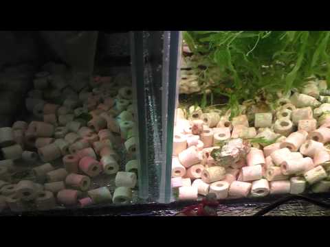 Видео: Морской аквариум - Косяки моего сампа и их исправление