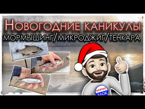 Видео: Мормышинг. Микроджиг.Тенкара. Новогодние каникулы.