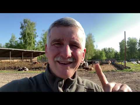 Видео: Про лейкоз и другое…