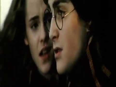 Видео: "Я тебя никогда не забуду" [Гарри & Гермиона]