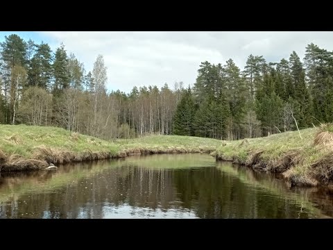 Видео: По рекам Либья  и Шлина ч.1/2