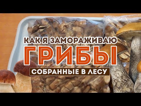 Видео: Как заморозить грибы на зиму! Пошаговая инструкция