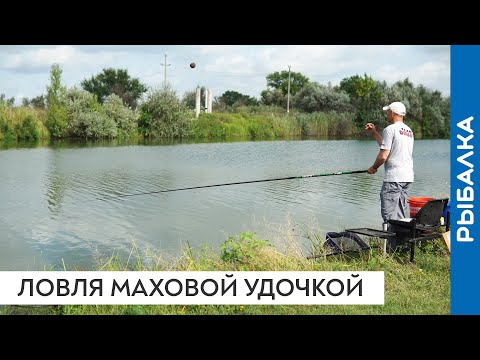 Видео: Рыбалка на поплавочную удочку. Ловля на мах