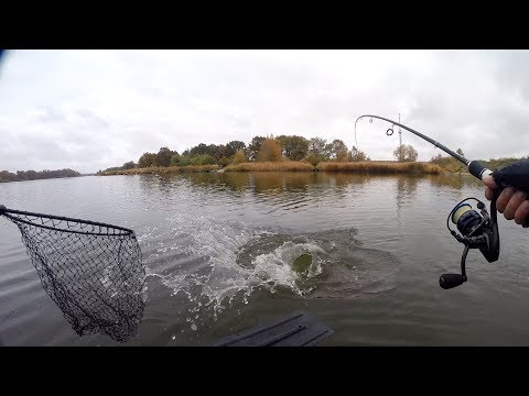 Видео: Вот Это Рыбалка!!! Таких Монстров на Грушку я еще не Ловил. Ловля Спиннингом на Джиг