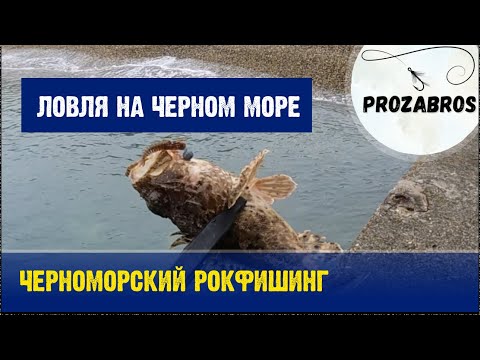 Видео: Черноморский рокфишинг поздним утром