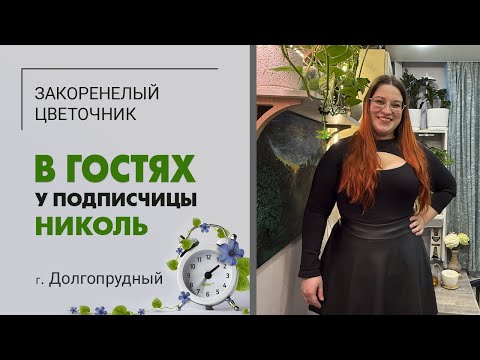 Видео: В гостях у Николь. г. Долгопрудный МО. Акробатические этюды с растениями. Коллекция на микроплощади.