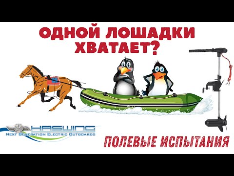 Видео: Одной лошадки хватит для ПВХ лодки?