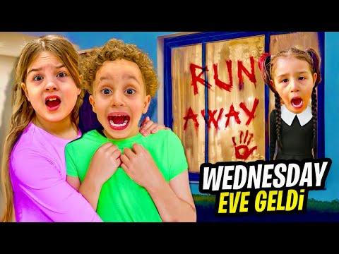 Видео: О, МОЯ СРЕДА ВЕРНУЛАСЬ ДОМОЙ ‼️ СРЕДА ИЗ СЕВЕРОЭЛИФИИ ЗАХВАТИЛА ДОМ!!