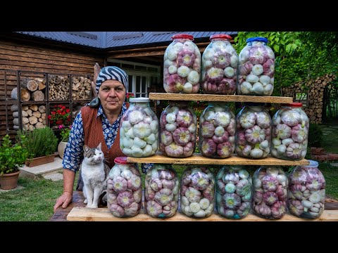 Видео: Сбор и Засолка Свежего Чеснока